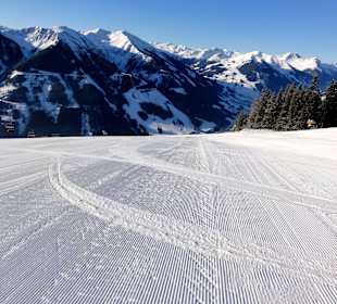 Abfahrt vom Kohlmaiskopf