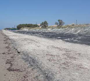 Strand außerhalb - leider nicht sehr schön