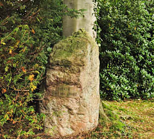 Кладбище Ольсдорф, Гамбург, 16 сентября 2013 года