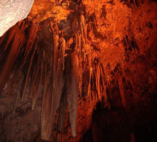 Dimhöhle