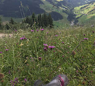Sonstiges