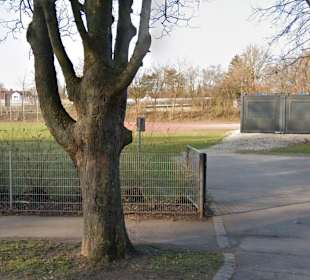 Basketball-Court Glacis Park