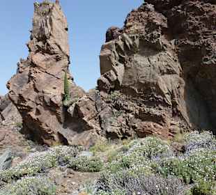 Nationalpark --> Teide