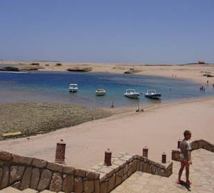 Die Insel