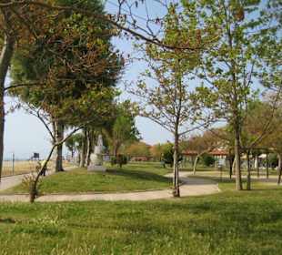 Park Olympic Beach