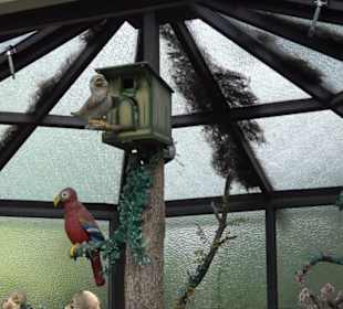 Erlebnispark Tripsdrill