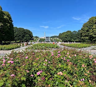 Blumenbeet