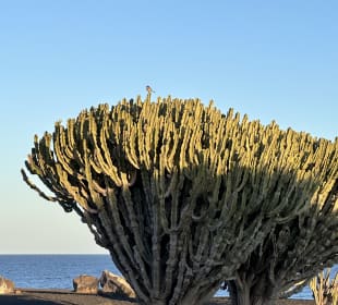 Ausflug nach Lanzarote