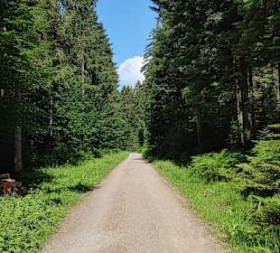 Wandern Freudenstadt