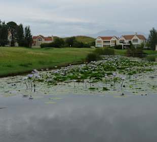 Paarl / Boschenmeer
