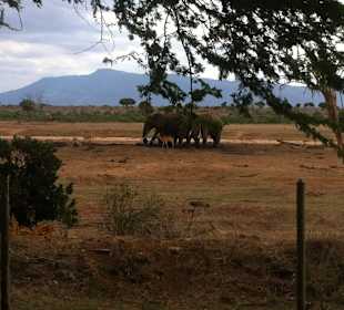 Ausblick von der Terrasse