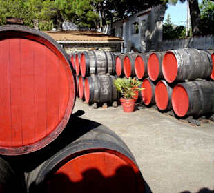 Banyuls - Cellier des Templiers