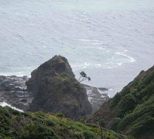 Cape Reinga