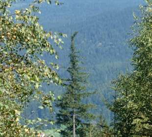 Bei unserer Wanderung zur Harlachberger-Spitze