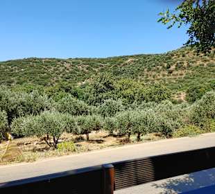 Inselrundfahrt Kreta