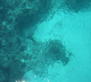 Der Meeresgrund in der Grotte