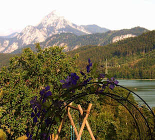 Blick auf den Weißensee