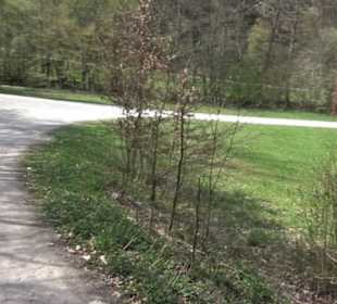 Spazierweg Ritter Museum