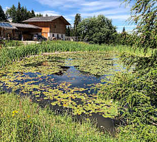 Wandern Nova Ponente / Deutschnofen