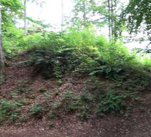 Burg Alt-Lichtenstein