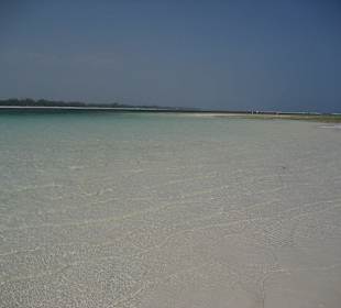Sandbank bei Ebbe