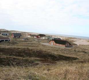 Landschaft " Vejlby Klit "