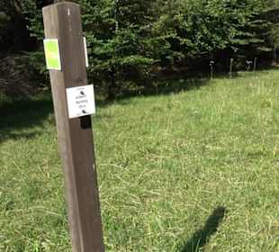 Wacholderheide Sternberg