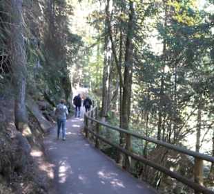 Natur-Hochseilgarten Triberg