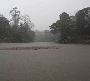 Rzeka otaczająca park