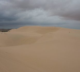 Sandduenen