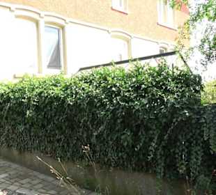 Evangelisches Pfarramt Oberjesingen