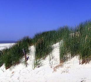 Mein Lieblingsstrandabschnitt, fast Menschenleer