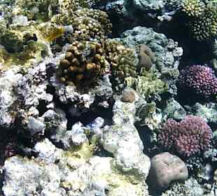 Sharm El Naga