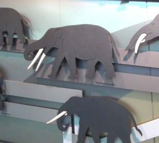 Elefanten