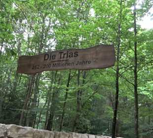 Dinosaurier Museum Altmühltal