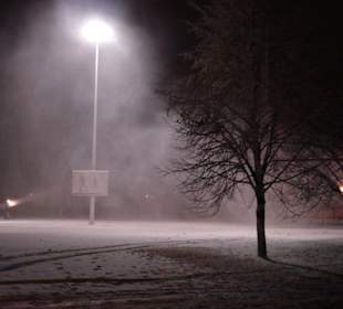 Stadtpark von Riga 1