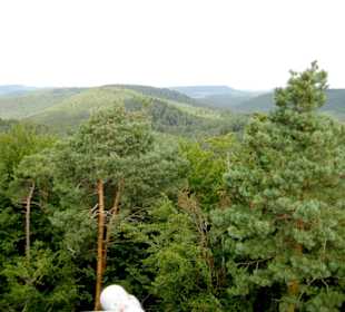 Blick über den Wasgau