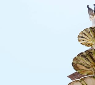 Taubenpärchen auf Brunnen
