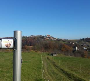 Wegweiser nach St.Anna am Aigen