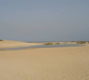 Strand von Corralejo - einfach Wahnsinn!