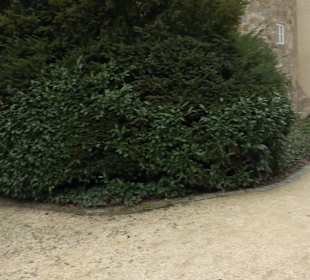 Schlossgarten Ellwangen