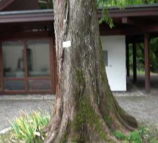 Schlösslepark Kressbronn