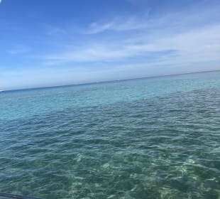 Tauchen & Schnorcheln Hausriff Soma Bay