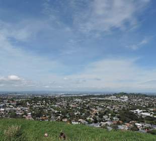 Blick vom Vulkan über Auckland