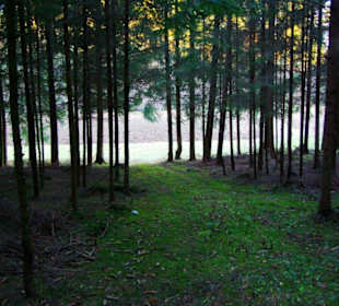 Kletterparadies in Kirchenbirkig