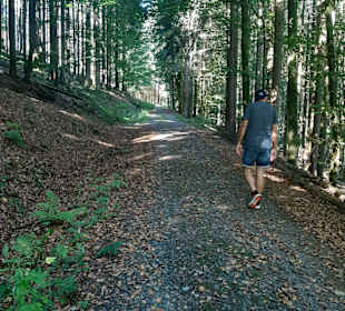 Wandern Geiersthal 