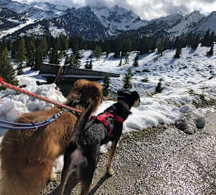 Wandern Schladming