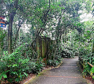 Singapur Zoo