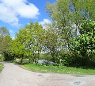 Eindrücke vom Rundgang im Seenpark