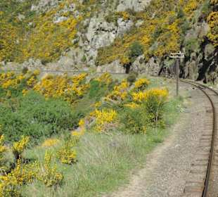 Mit der Taieri Railway durch die Natur Neuselands